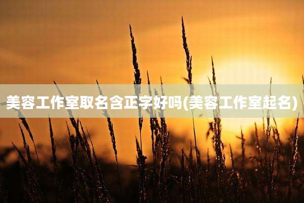 美容工作室取名含正字好吗(美容工作室起名)