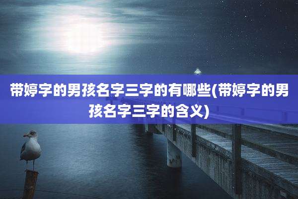 带婷字的男孩名字三字的有哪些(带婷字的男孩名字三字的含义)