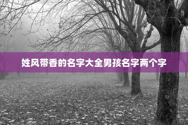 姓风带香的名字大全男孩名字两个字