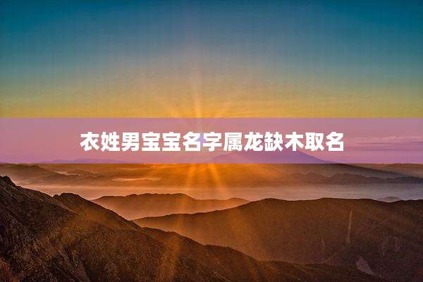 衣姓男宝宝名字属龙缺木取名
