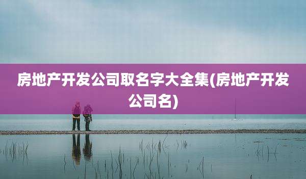 房地产开发公司取名字大全集(房地产开发公司名)