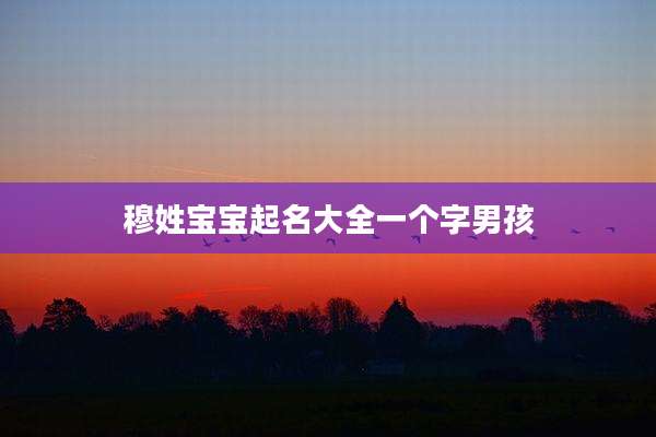 穆姓宝宝起名大全一个字男孩