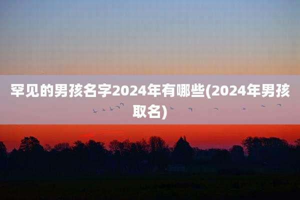 罕见的男孩名字2024年有哪些(2024年男孩取名)