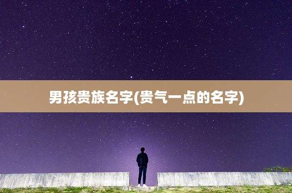 男孩贵族名字(贵气一点的名字)