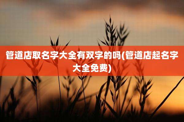 管道店取名字大全有双字的吗(管道店起名字大全免费)