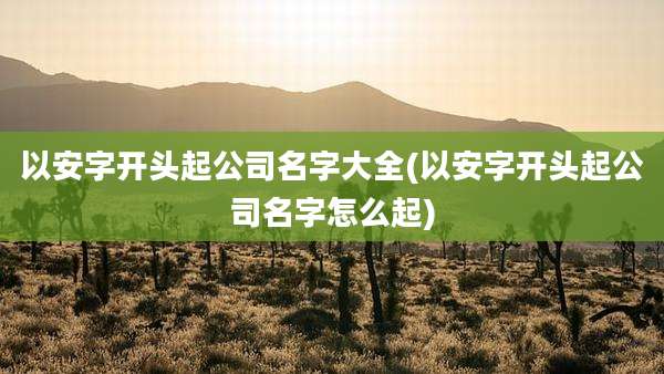 以安字开头起公司名字大全(以安字开头起公司名字怎么起)