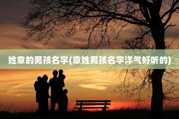 姓章的男孩名字(章姓男孩名字洋气好听的)