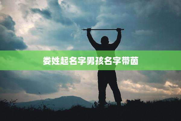 娄姓起名字男孩名字带茵