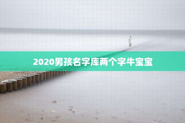2020男孩名字库两个字牛宝宝