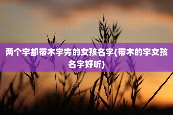 两个字都带木字旁的女孩名字(带木的字女孩名字好听)