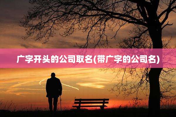 广字开头的公司取名(带广字的公司名)