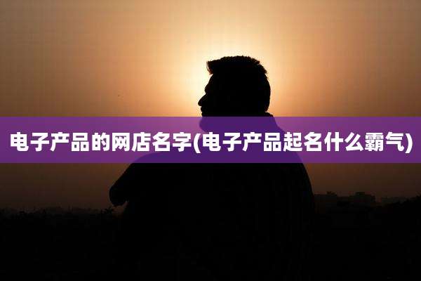电子产品的网店名字(电子产品起名什么霸气)