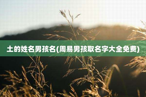 土的姓名男孩名(周易男孩取名字大全免费)