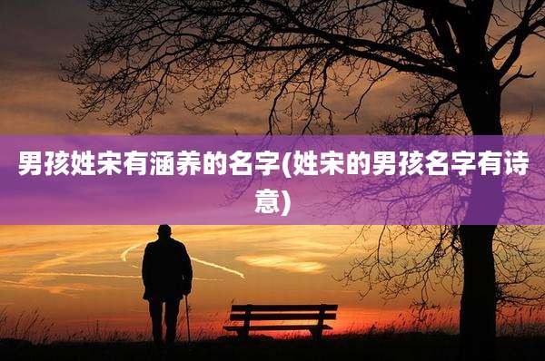 男孩姓宋有涵养的名字(姓宋的男孩名字有诗意)