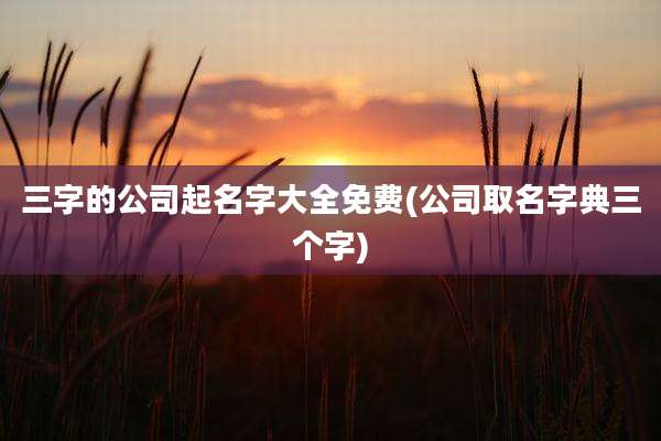 三字的公司起名字大全免费(公司取名字典三个字)