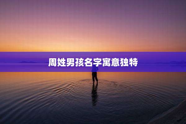 周姓男孩名字寓意独特