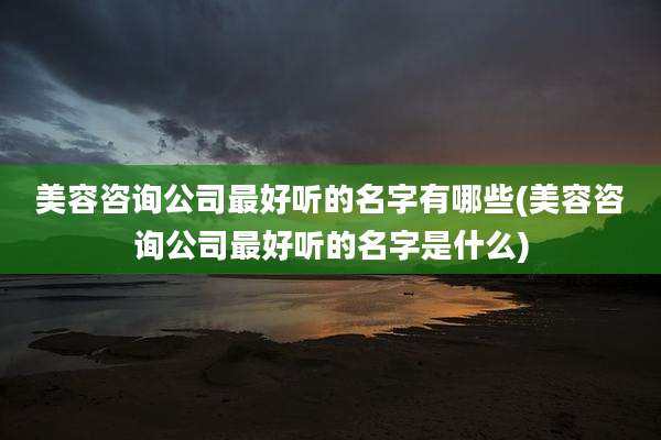 美容咨询公司最好听的名字有哪些(美容咨询公司最好听的名字是什么)