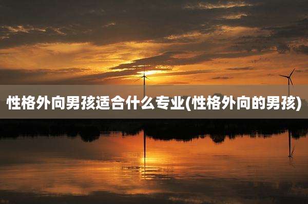 性格外向男孩适合什么专业(性格外向的男孩)