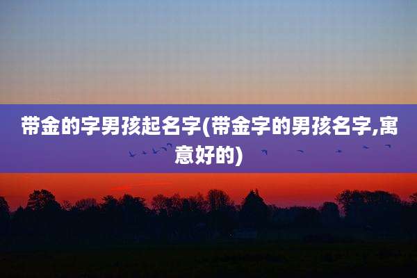 带金的字男孩起名字(带金字的男孩名字,寓意好的)