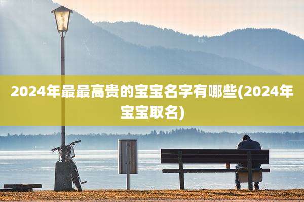 2024年最最高贵的宝宝名字有哪些(2024年宝宝取名)