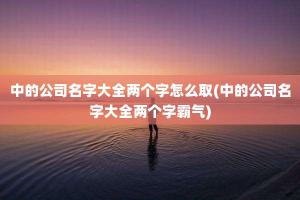 中的公司名字大全两个字怎么取(中的公司名字大全两个字霸气)