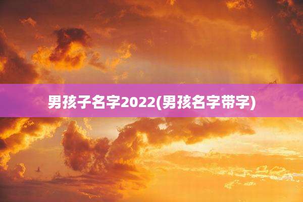 男孩子名字2022(男孩名字带字)