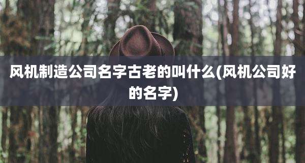 风机制造公司名字古老的叫什么(风机公司好的名字)