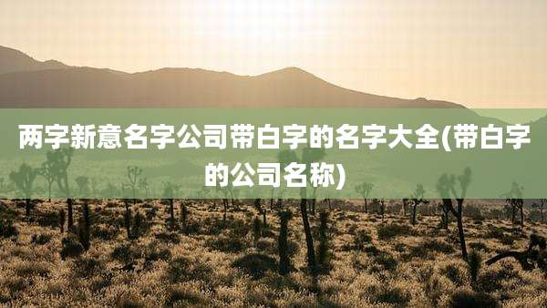 两字新意名字公司带白字的名字大全(带白字的公司名称)