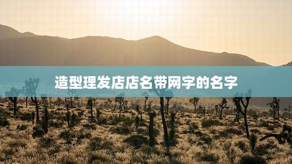 造型理发店店名带网字的名字