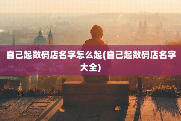 自己起数码店名字怎么起(自己起数码店名字大全)