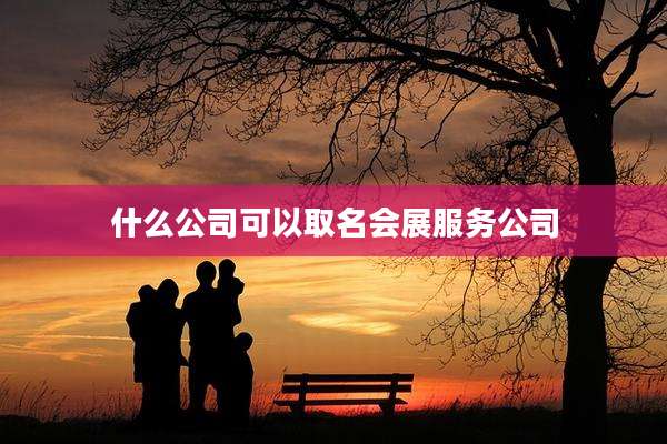 什么公司可以取名会展服务公司