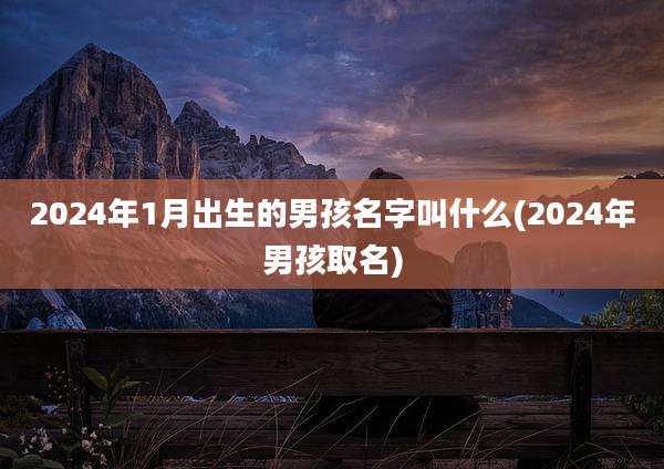 2024年1月出生的男孩名字叫什么(2024年男孩取名)