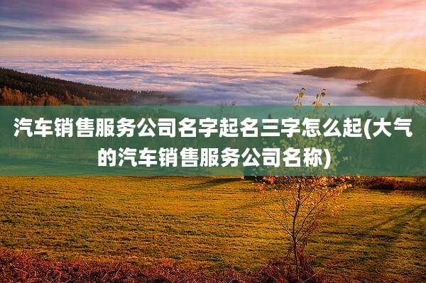 汽车销售服务公司名字起名三字怎么起(大气的汽车销售服务公司名称)