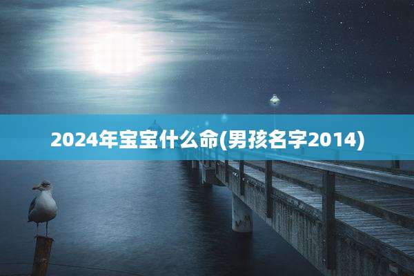 2024年宝宝什么命(男孩名字2014)
