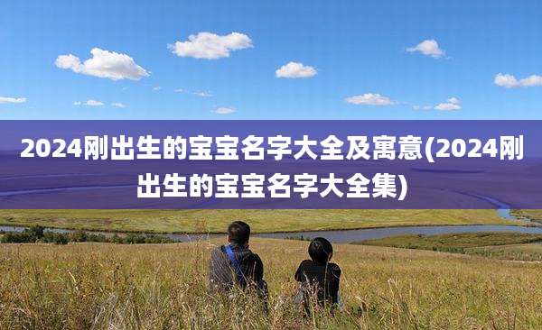 2024刚出生的宝宝名字大全及寓意(2024刚出生的宝宝名字大全集)