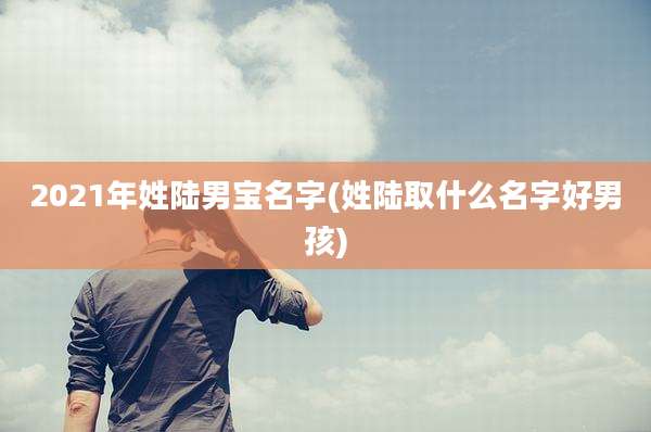 2021年姓陆男宝名字(姓陆取什么名字好男孩)