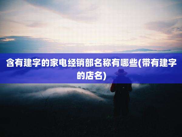 含有建字的家电经销部名称有哪些(带有建字的店名)