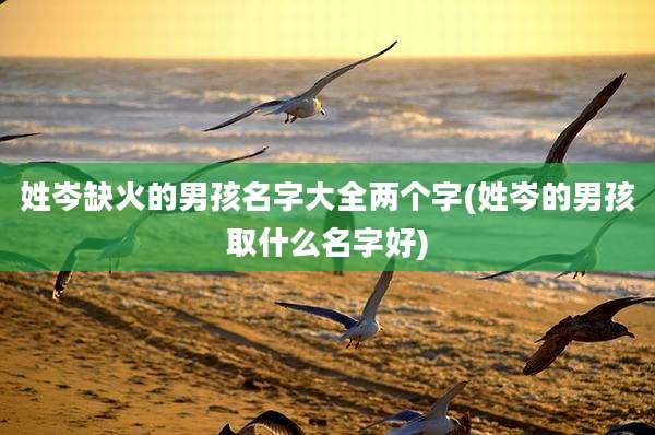 姓岑缺火的男孩名字大全两个字(姓岑的男孩取什么名字好)