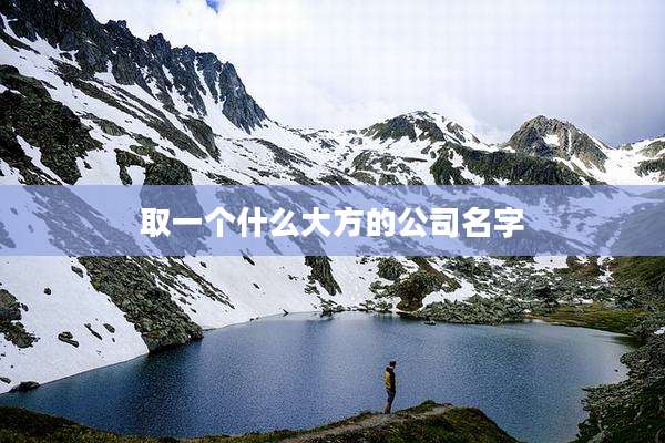 取一个什么大方的公司名字
