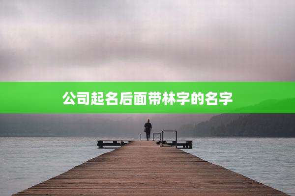 公司起名后面带林字的名字