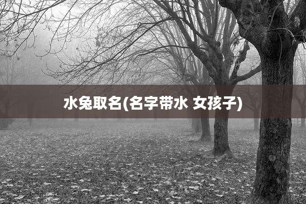 水兔取名(名字带水 女孩子)