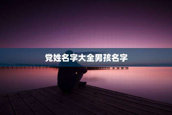 党姓名字大全男孩名字