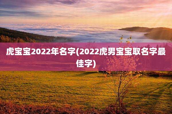虎宝宝2022年名字(2022虎男宝宝取名字最佳字)