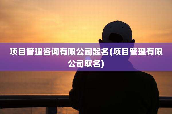 项目管理咨询有限公司起名(项目管理有限公司取名)