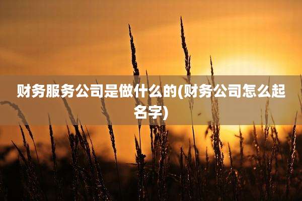 财务服务公司是做什么的(财务公司怎么起名字)