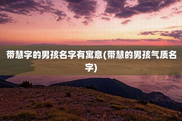 带慧字的男孩名字有寓意(带慧的男孩气质名字)