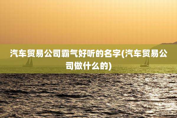汽车贸易公司霸气好听的名字(汽车贸易公司做什么的)