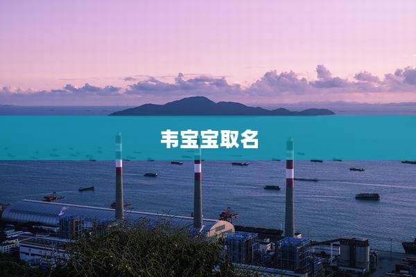 韦宝宝取名