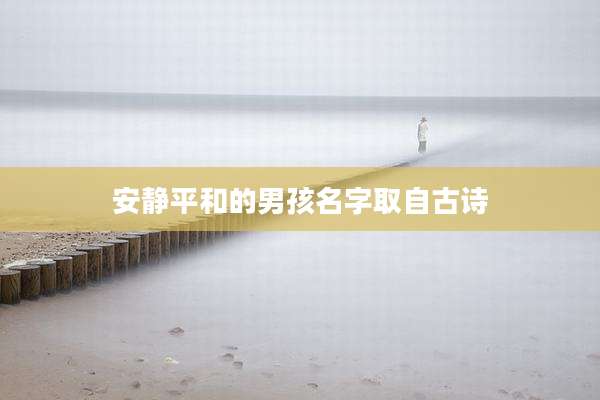 安静平和的男孩名字取自古诗