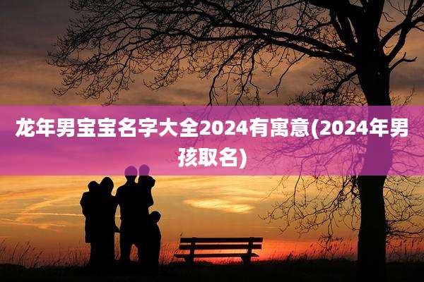 龙年男宝宝名字大全2024有寓意(2024年男孩取名)